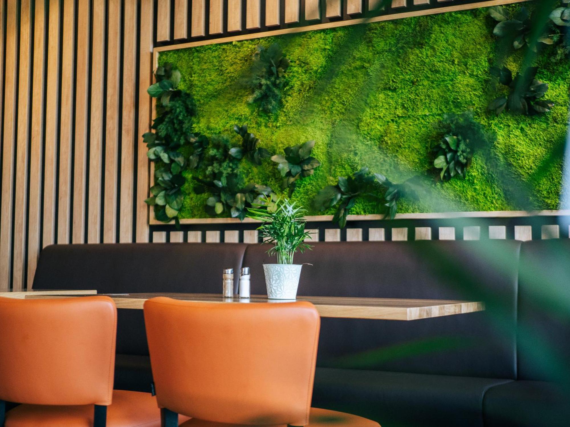 Appartement Am Hohenbusch Burg Reuland Exteriör bild