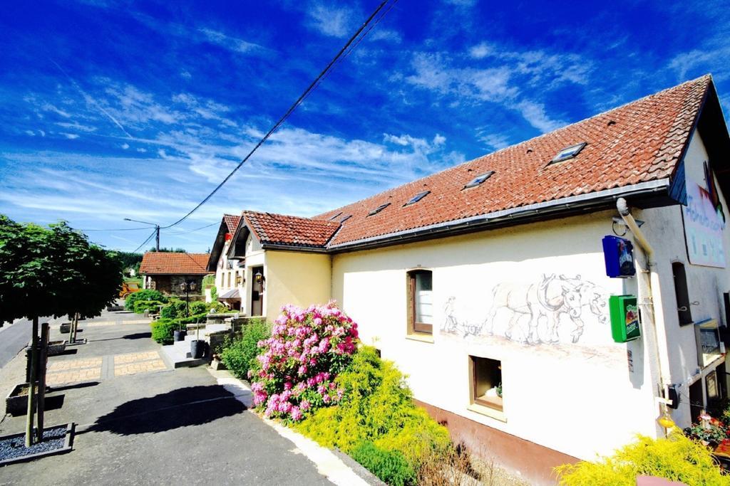 Appartement Am Hohenbusch Burg Reuland Exteriör bild